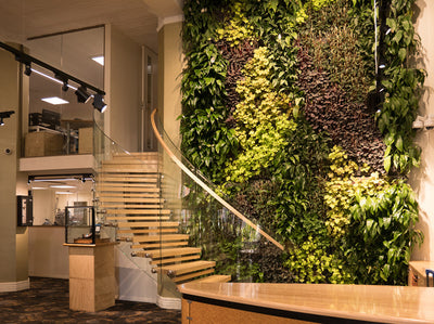 Green Walls - Your Living Artwork
