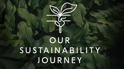 Our Sustainability Journey