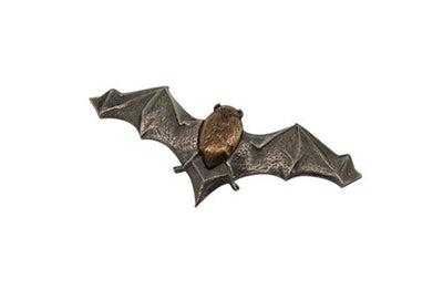 Bat Brooch in Brass
