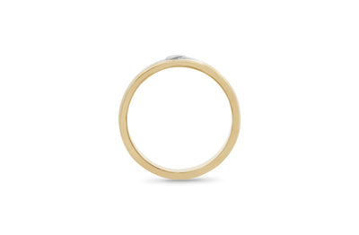 Hononga: Ring