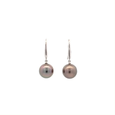 Avaiki Black Round Pearl Drop Earrings in White Gold | 10.00mm