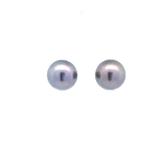 Avaiki Pearl Stud Earrings in White Gold | 11.00mm