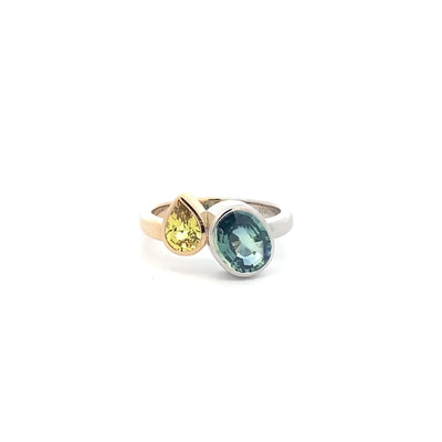 Pods: Sapphire Two Stone Ring in Gold | 2.69ctw