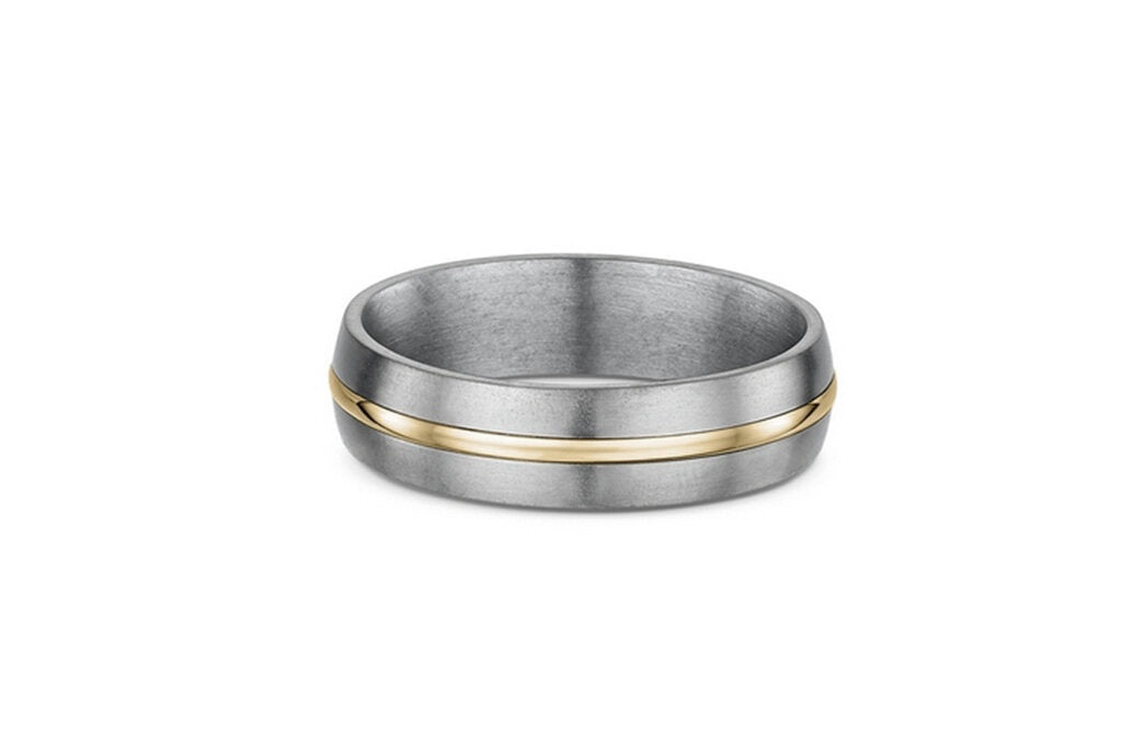 Titanium Ring with Gold Band