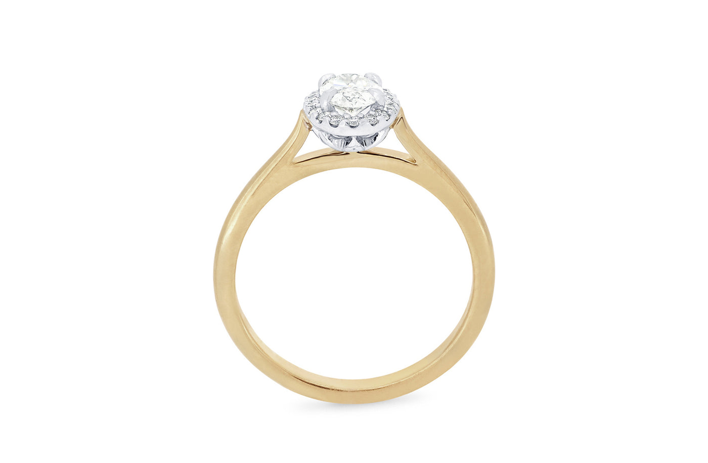 Luminous: Oval Cut Diamond Halo Ring